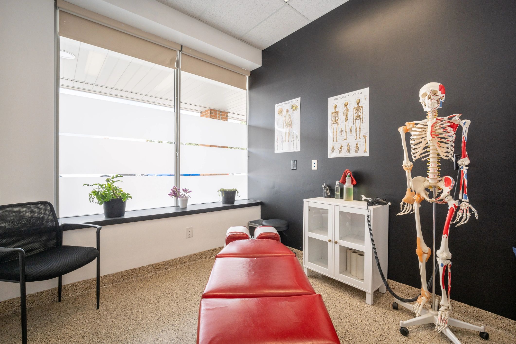 modern chiropractic clinic