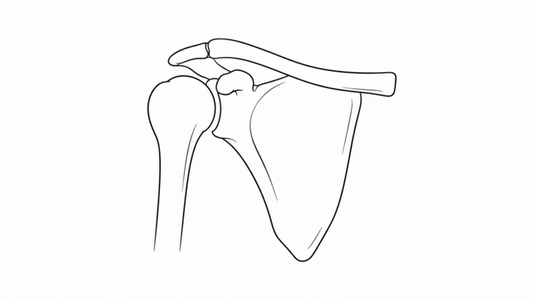 SHOULDER