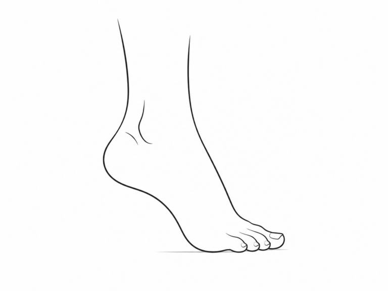 Ankle 